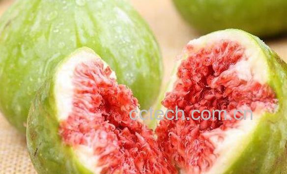 无花果粉的功效与作用-1