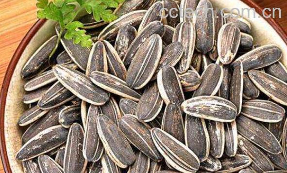 葵花籽的功效与作用及食用方法-1