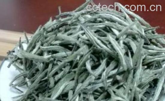 大白茶和大白毫的区别-0