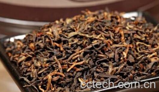 空腹可以喝茶吗 空腹喝茶的禁忌和危害-0