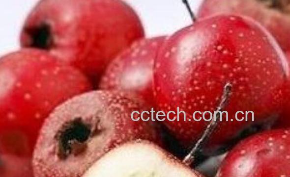  孕妇不能吃的十大水果 孕妇不宜吃哪些水果-1