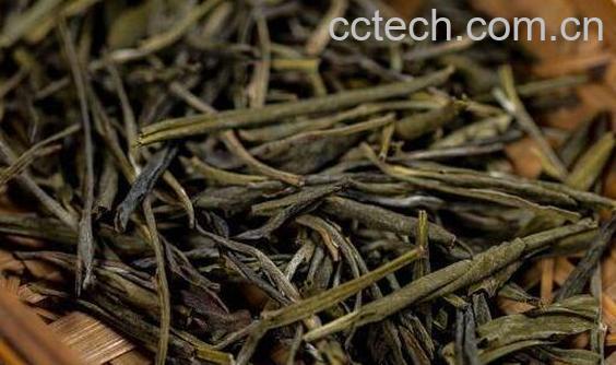 苦丁茶能减肥吗 苦丁茶减肥的方法技巧-0