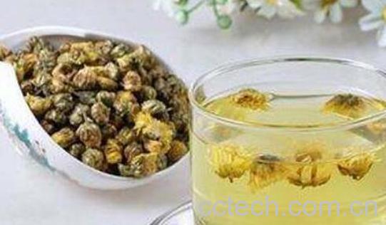 喝菊花水有什么好处-0