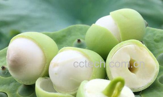 新鲜莲子怎么吃好 新鲜莲子的吃法技巧-0