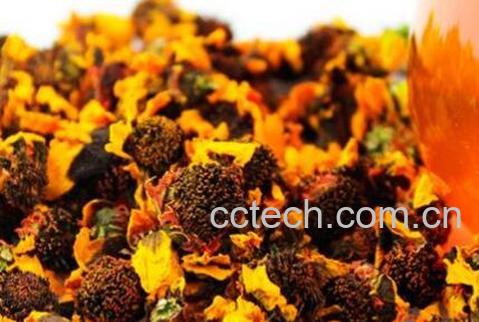 天山雪菊的美容功效-0