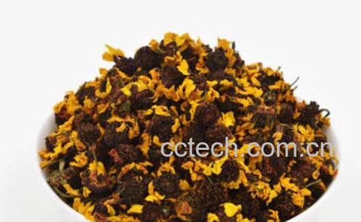 天山雪菊的美容功效-1