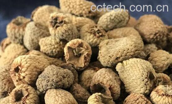 覆盆子茶的功效与作用 覆盆子茶怎么泡-0