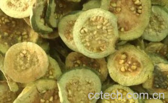 番石榴茶的功效与作用及冲泡方法-1