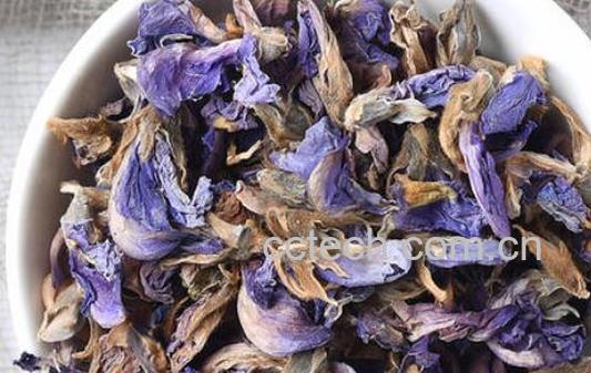 葛花泡水喝有什么好处-1