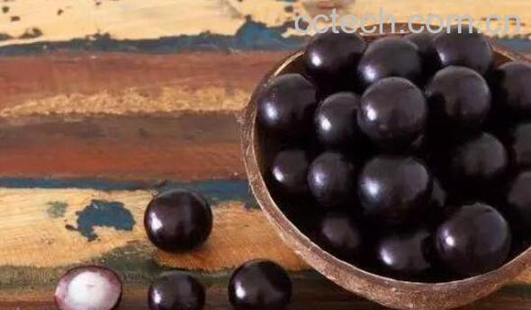 阴阳果的功效与作用 阴阳果是什么-0