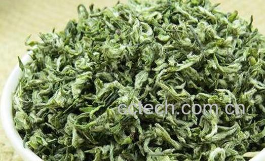 女性喝碧螺春茶的好处-0