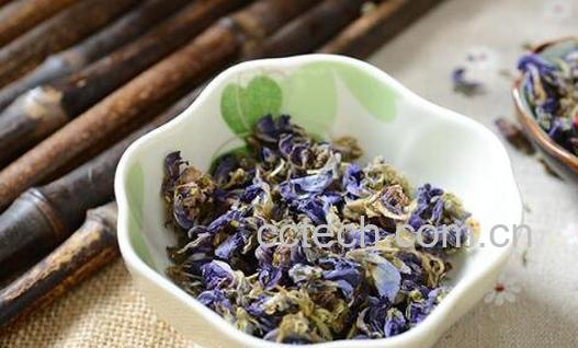 葛花茶的作用与功效 葛花茶的禁忌-0