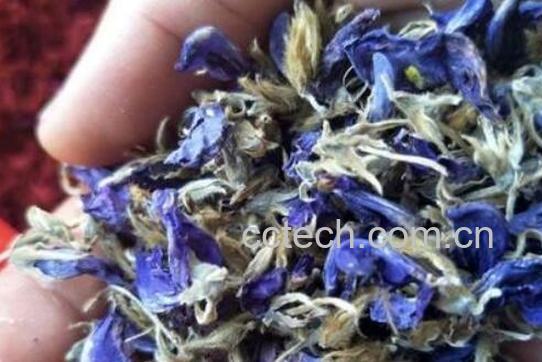 葛花茶的作用与功效 葛花茶的禁忌-1