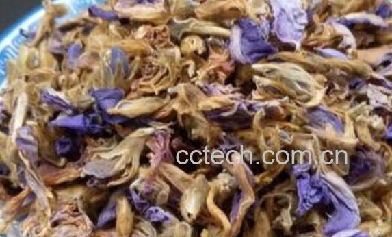 喝葛花茶的好处和坏处-1