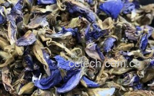 喝葛花茶的好处和坏处-0