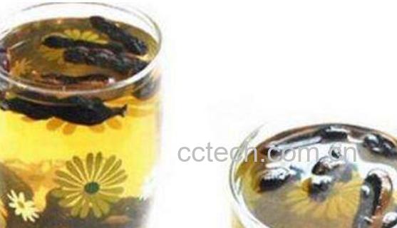 槐角茶的功效与作用-1