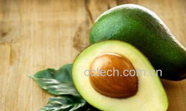牛油果-1
