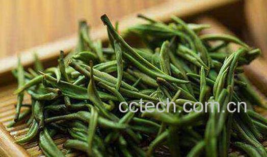 买绿茶怎么选优质的-1