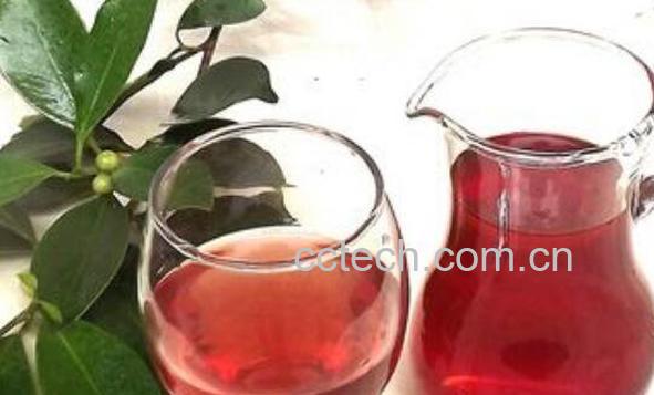 羊奶果泡酒功效与作用-1