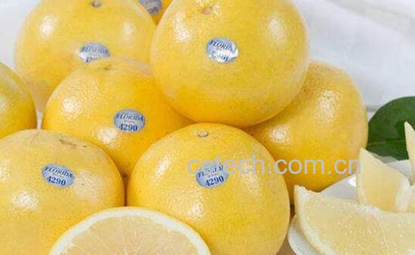 白葡萄柚的功效与作用-1