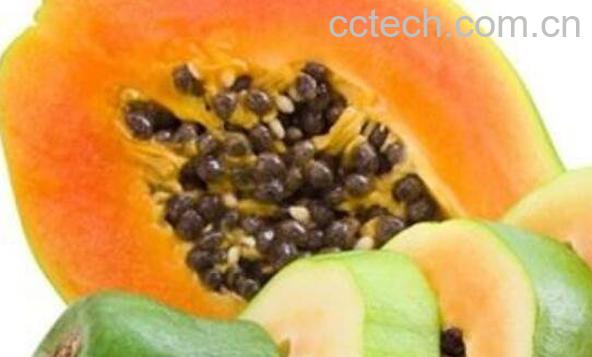 宣木瓜怎么吃 宣木瓜的食用方法-0