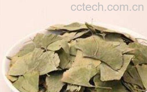 银杏叶茶家庭制作方法-0