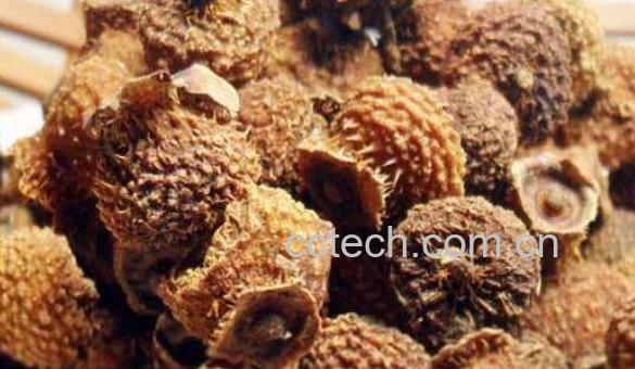 刺梨对肾的功效与作用 吃刺梨的好处-0