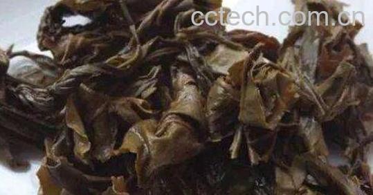 茶叶渣如何做肥料 茶叶渣晒干后做肥料的方法-1