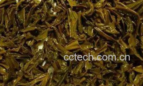 茶叶怎么发酵当肥料 怎么样用废茶叶做花肥-1