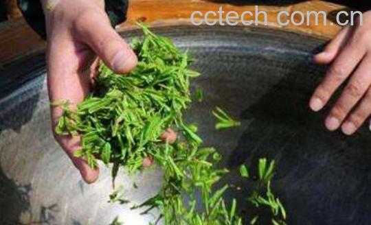如何炒茶叶是绿色的 炒茶叶用什么方法炒好-0