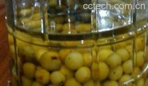 橄榄泡酒的功效与作用-0