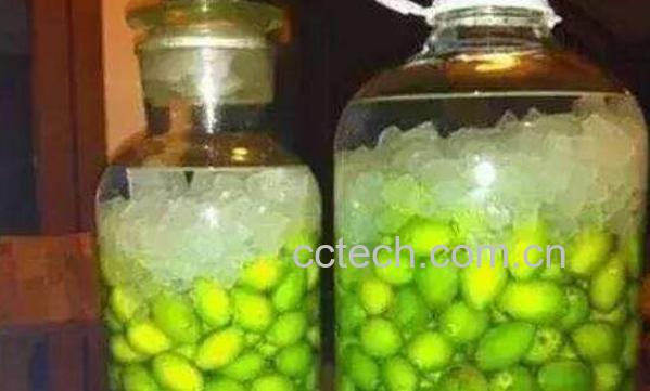 橄榄泡酒的功效与作用-1