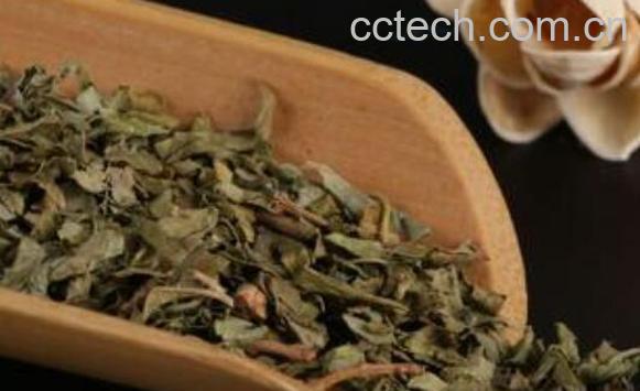 喝丁香茶有什么好处 喝丁香茶的坏处-0