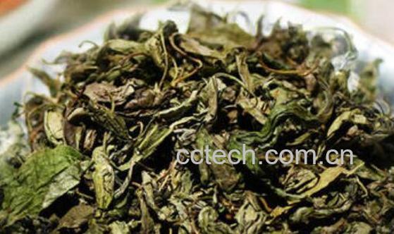 喝丁香茶有什么好处 喝丁香茶的坏处-1