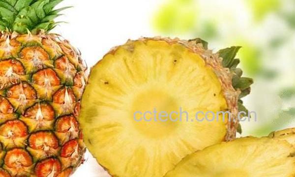 菠萝-0