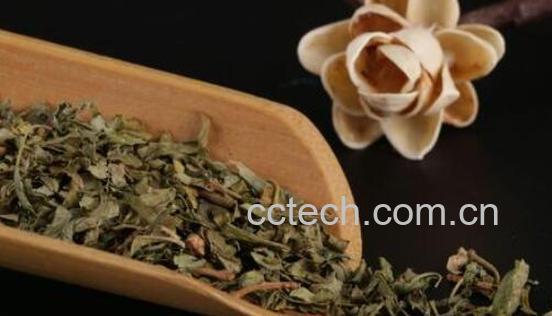 丁香叶茶的功效与作用及冲泡方法-1