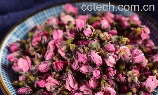 桃花茶的减肥正确喝法-0