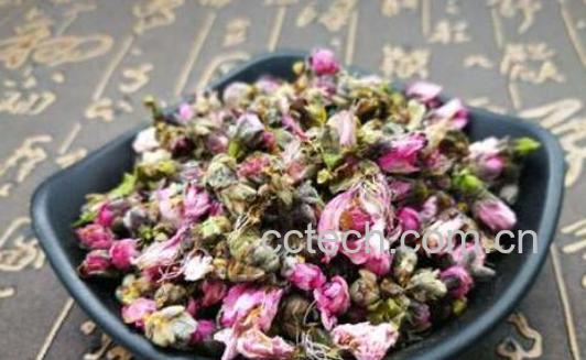 桃花茶的减肥正确喝法-1