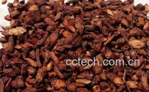 丹参茶的功效与作用-0