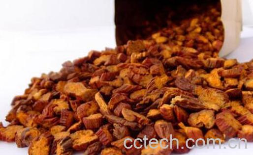 丹参茶的功效与作用-1