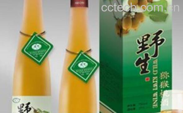 圆枣子酒的制作方法 圆枣子泡酒的步骤教程-1