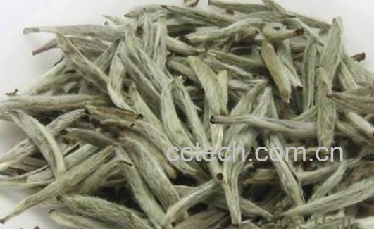 白毫银针茶的功效与作用-0