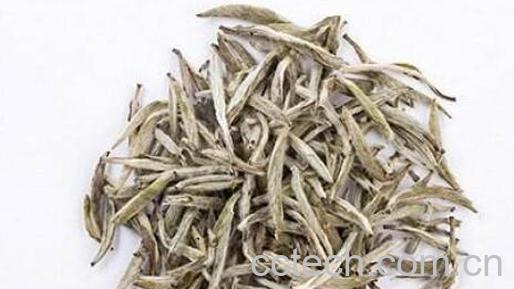 白茶怎么看出好与差-1