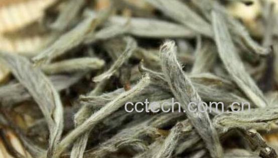 白茶怎么看出好与差-0