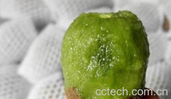 野生猕猴桃怎么吃 野生猕猴桃有什么功效-1