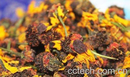 天山雪菊泡水喝有什么好处-1