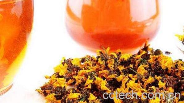 藏雪菊花茶的功效与作用-1