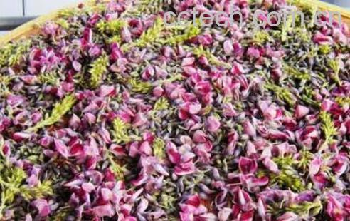 女人喝葛花茶的好处-1