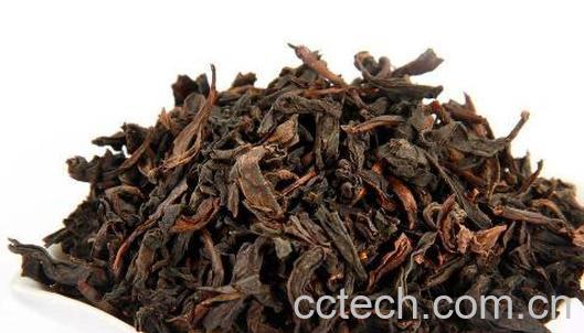 大红袍怎么泡好喝 大红袍的泡法-0