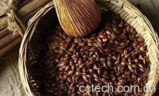 大麦茶怎么泡 大麦茶过夜可以喝吗-1